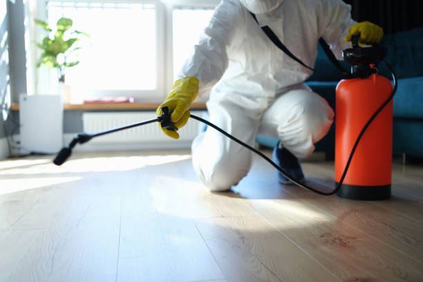 Reliable Blood Cleanup contractor in Pahala, HI by Trauma Clean Pros